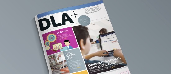 Économie sociale et solidaire : bilan du dispositif local d'accompagnement en 2017