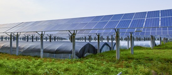 Vente d'une entreprise agricole dotée de panneaux photovoltaïques : quelle exonération fiscale ?