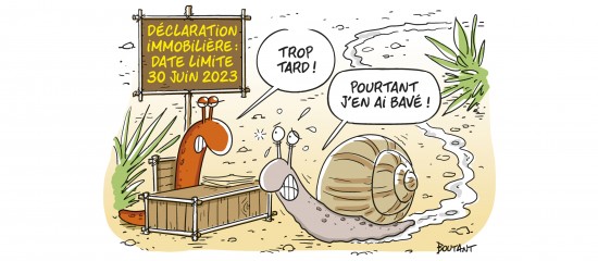 Déclaration des locaux d'habitation