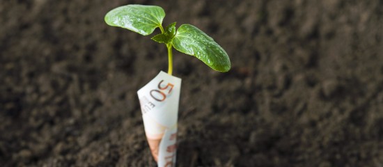 Exploitants agricoles : comment demander l'aide à la trésorerie ?