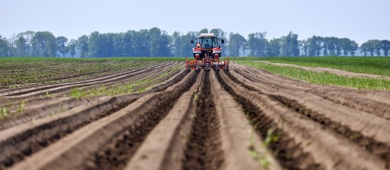 Mise à disposition d'une société de parcelles agricoles louées : il faut les exploiter !