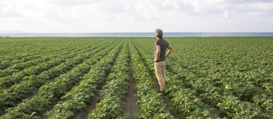 Violation du droit de préemption de l'exploitant agricole : quel délai pour contester ?