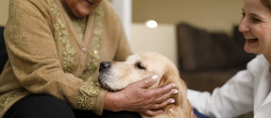 Médico-social : accueil d'animaux de compagnie dans les Ehpad
