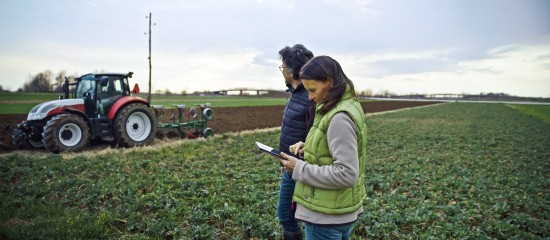 Acquisition de parcelles agricoles par substitution aux droits d'une Safer : du nouveau !