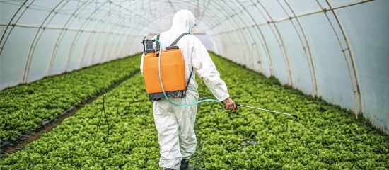 Exploitants agricoles : prolongation d'un an des certiphytos arrivant à échéance
