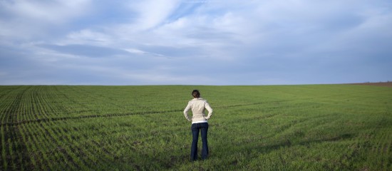 Exploitants agricoles : bénéfice d'une pension d'orphelin