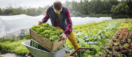 Prorogation de deux crédits d'impôt spécifiques aux exploitants agricoles