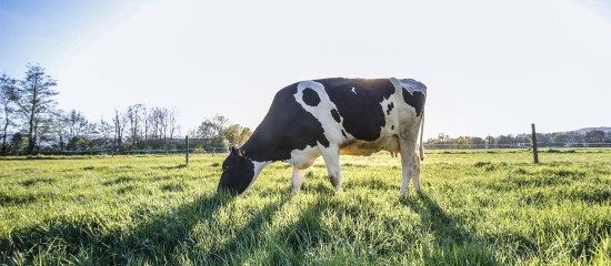 Loi d'orientation agricole : les principales mesures