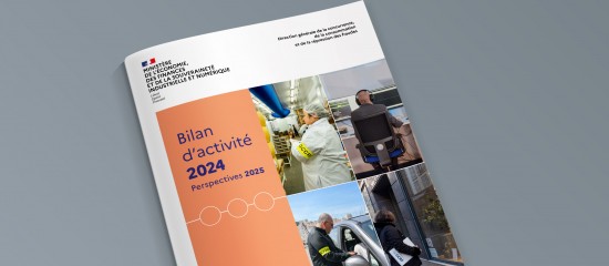 DGCCRF : près de 65 000 contrôles réalisés en 2024