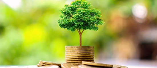 Un début timide pour le Plan d'épargne avenir climat