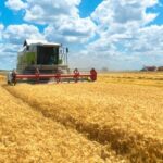 Exploitants agricoles : le calendrier de versement des aides Pac 2025